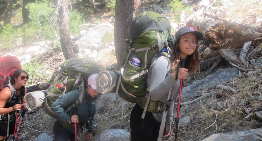 three people wearing backpacks and using hiking poles make their way through a wooded landscape